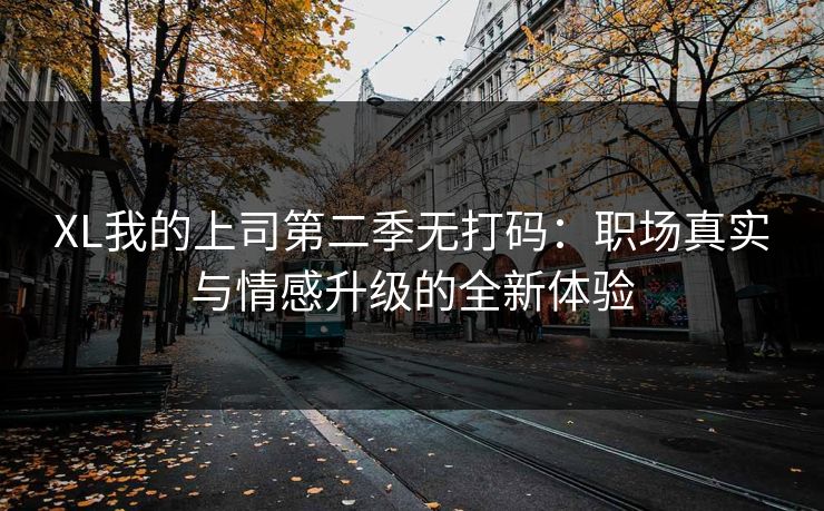 XL我的上司第二季无打码：职场真实与情感升级的全新体验