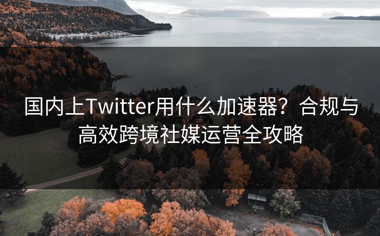 国内上Twitter用什么加速器？合规与高效跨境社媒运营全攻略