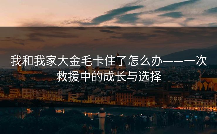 我和我家大金毛卡住了怎么办——一次救援中的成长与选择 我和我家大金毛卡住了怎么办——一次救援中的成长与选择